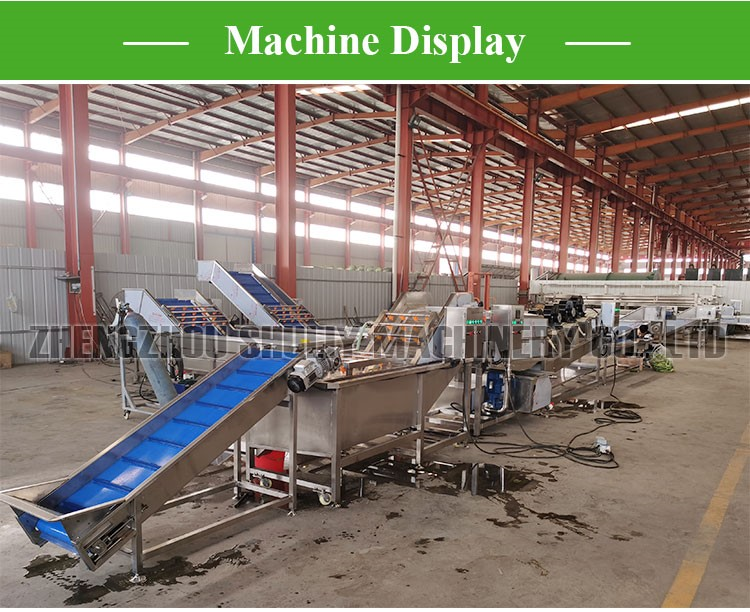vegetable washing packing line vegetable washing packing line