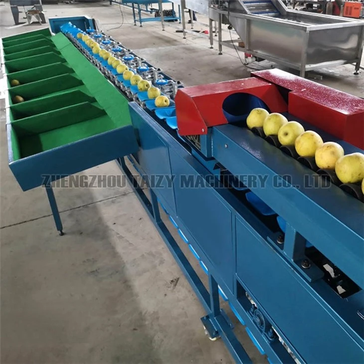 weight sorting machine-5