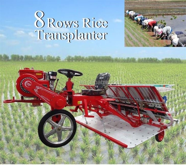Paddy Rice Transplanter