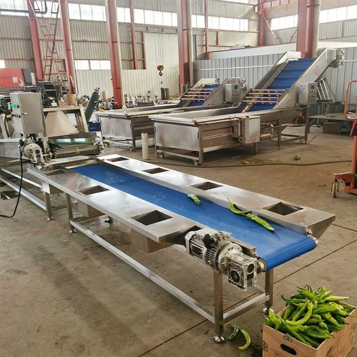 vegetable washing packing line