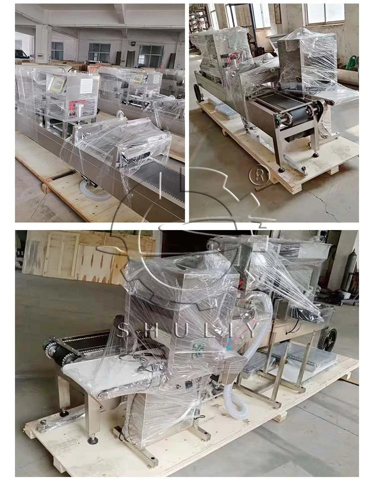 automatic seeder machine automatic seeder machine